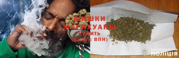 шишки Белокуриха