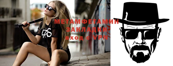 шишки Белокуриха