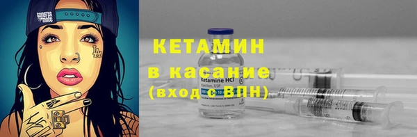 шишки Белокуриха