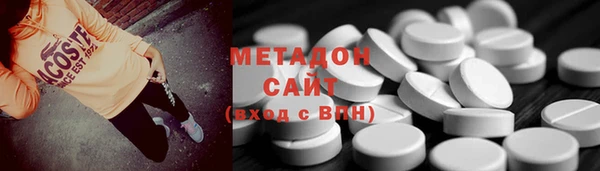 шишки Белокуриха