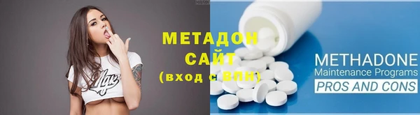 шишки Белокуриха