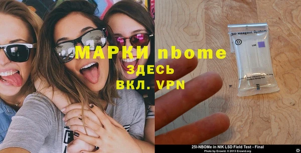 шишки Белокуриха