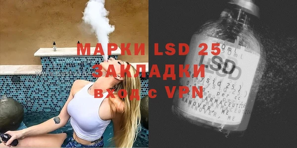 шишки Белокуриха