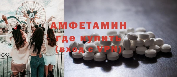 spice Богородицк