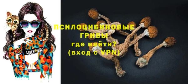 spice Богородицк